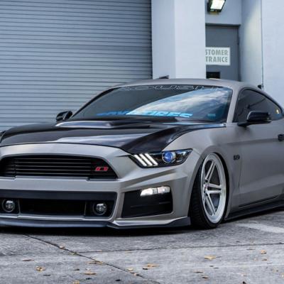 Mustang vossen