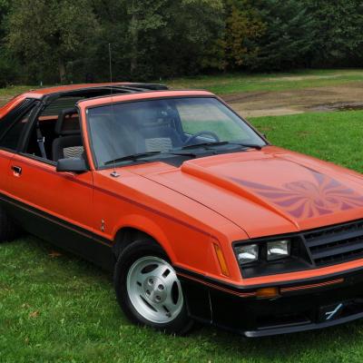 1981 mustang cobra twin top