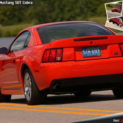 2004 Ford Mustang SVT Cobra