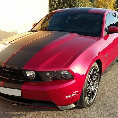 2010 Ford Mustang