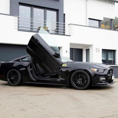 Mustang avec portes spéciales