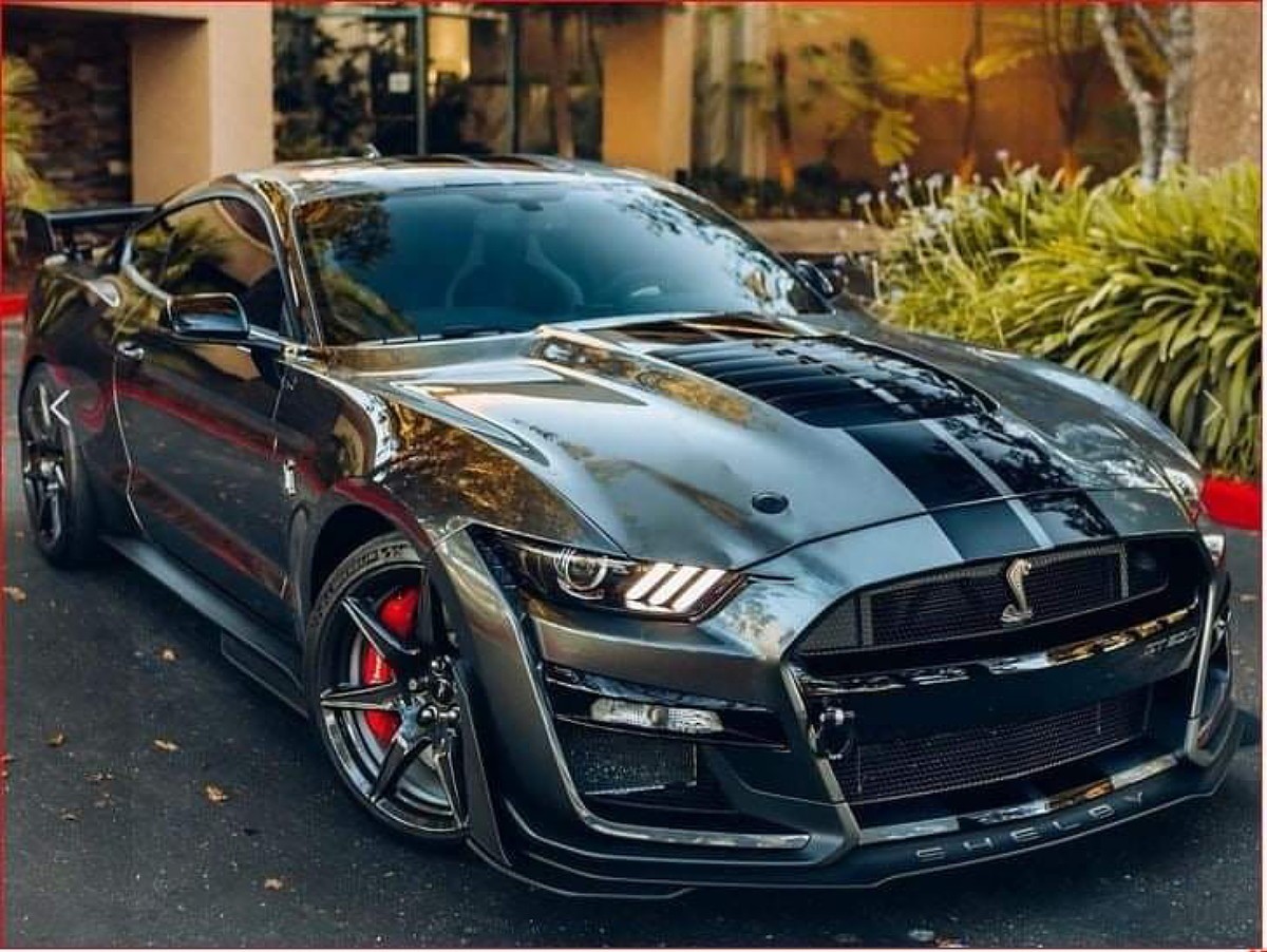 Mustang Cobra