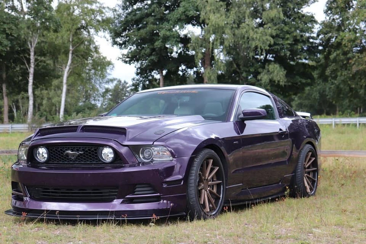 Mustang Schicki