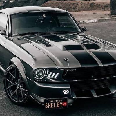 Mustang shelby