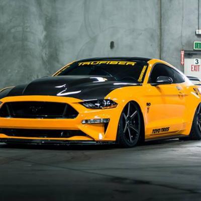 2019 Ford Mustang gt tuning
