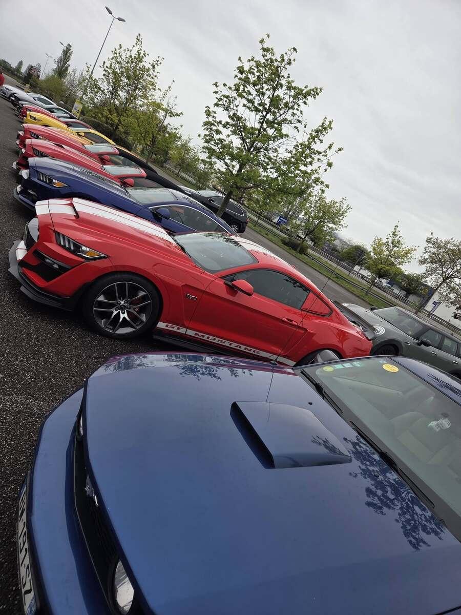 668567761 2384522712023606 7397644186938676414 n