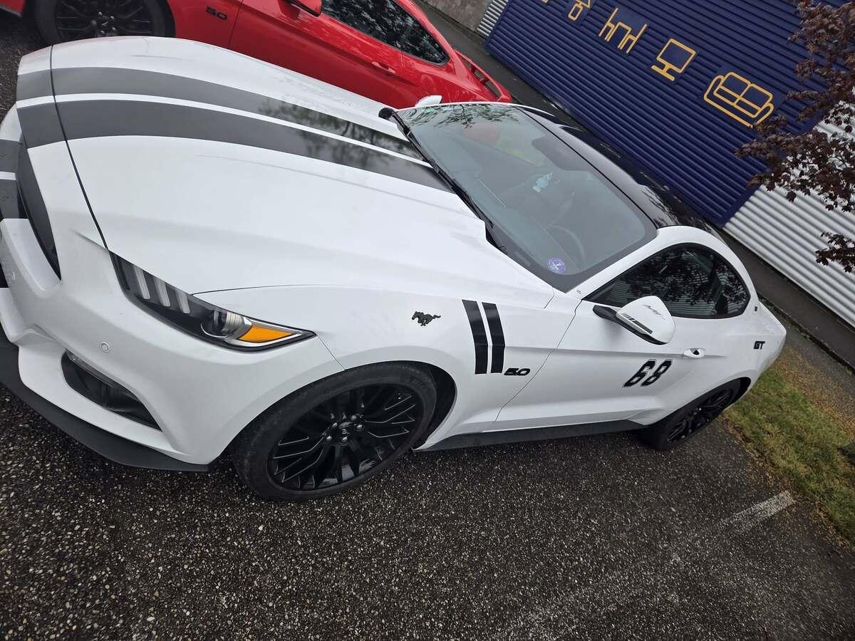 668897393 2384523442023533 4033187551169967643 n