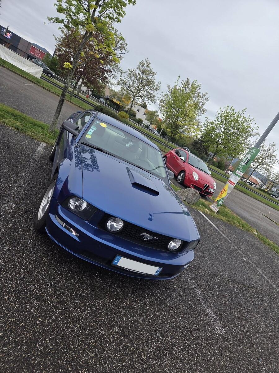 669594745 2384523275356883 9026703346601780476 n