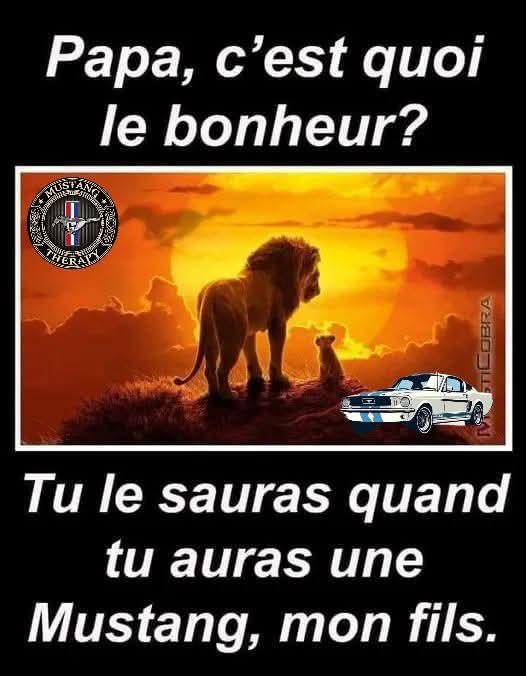 Simba