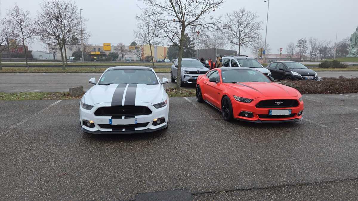 Whatsapp image 2026 01 11 at 09 43 58 1