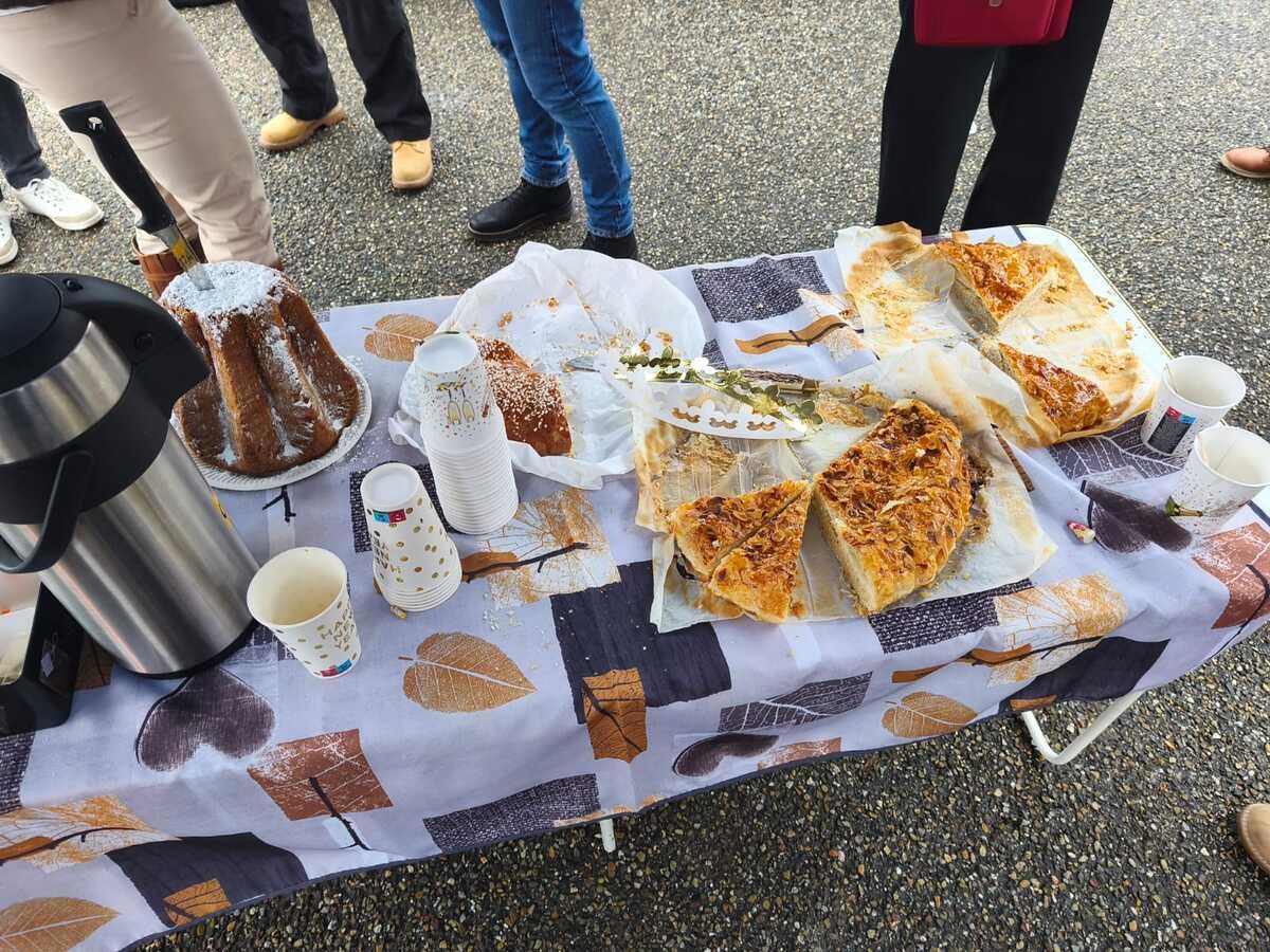 Whatsapp image 2026 01 11 at 17 09 06 1