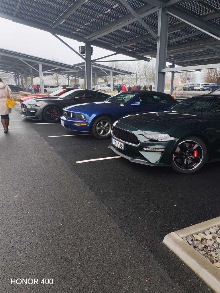 Whatsapp image 2026 02 08 at 18 14 56