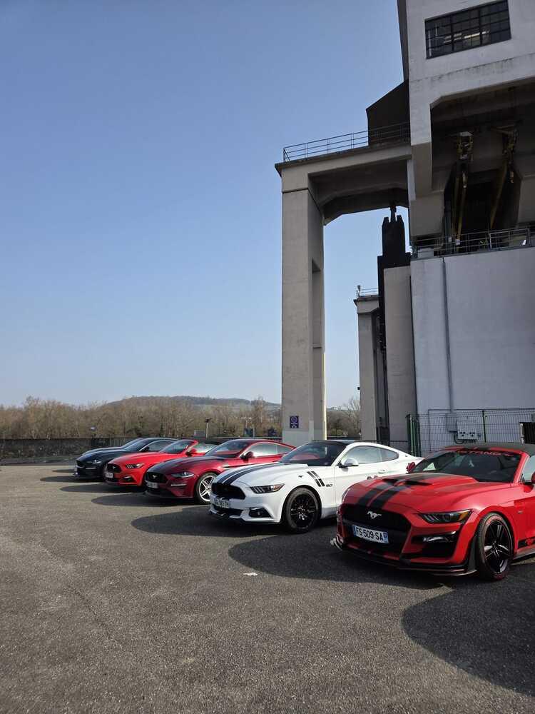 Whatsapp image 2026 03 08 at 12 07 41 1