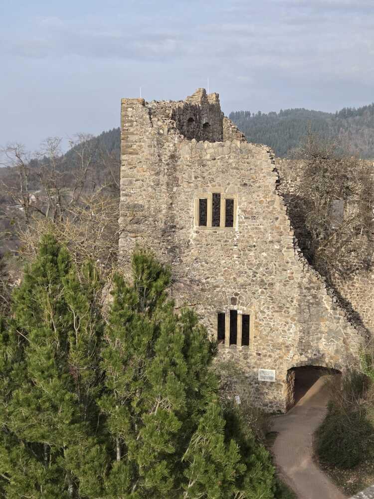 Whatsapp image 2026 03 08 at 17 13 14 1