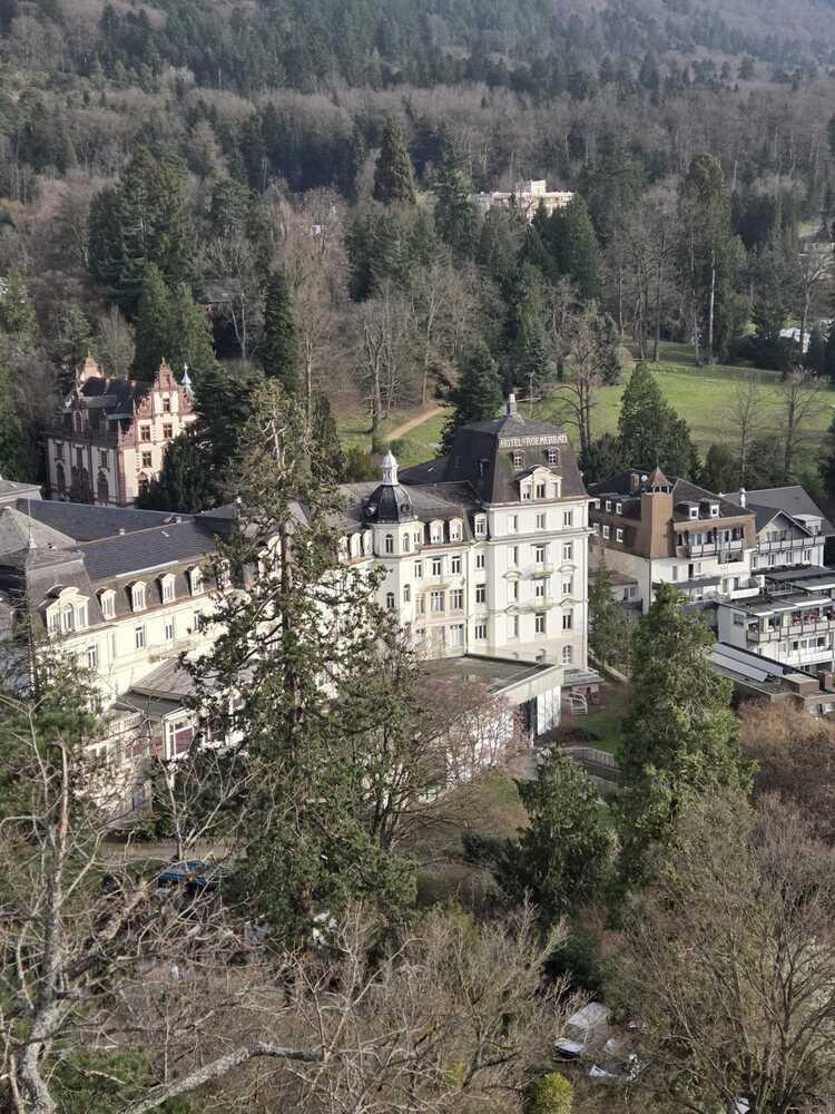 Whatsapp image 2026 03 08 at 17 13 15 1