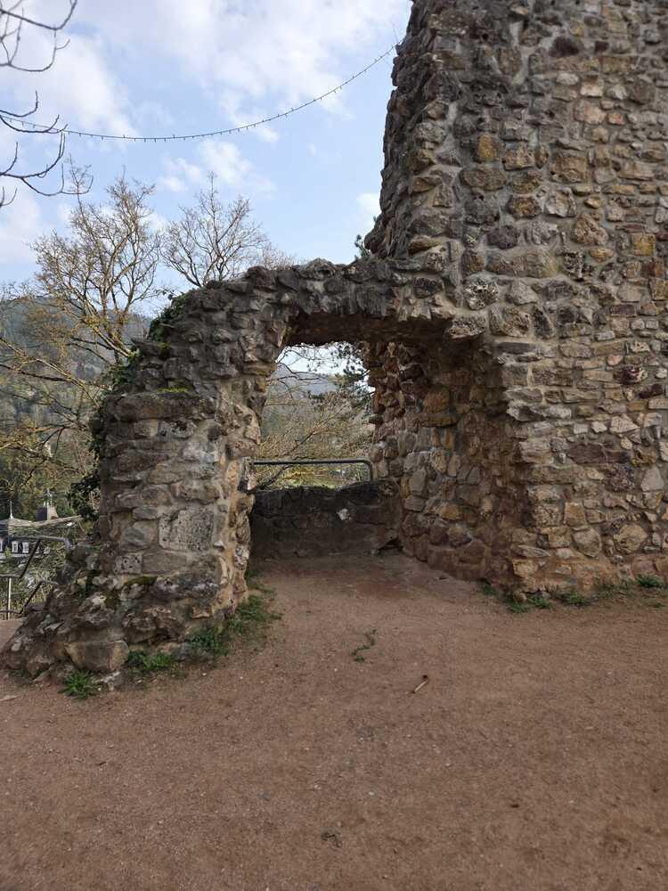 Whatsapp image 2026 03 08 at 17 13 16