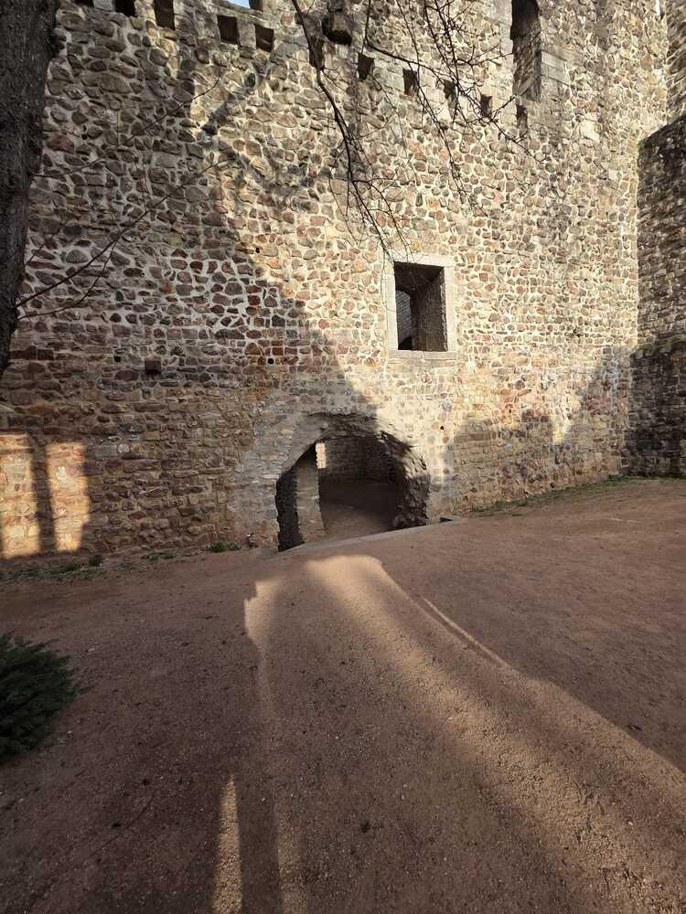 Whatsapp image 2026 03 08 at 17 13 18 1