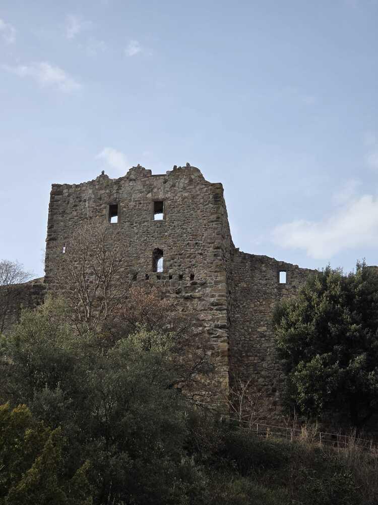 Whatsapp image 2026 03 08 at 17 13 18 2