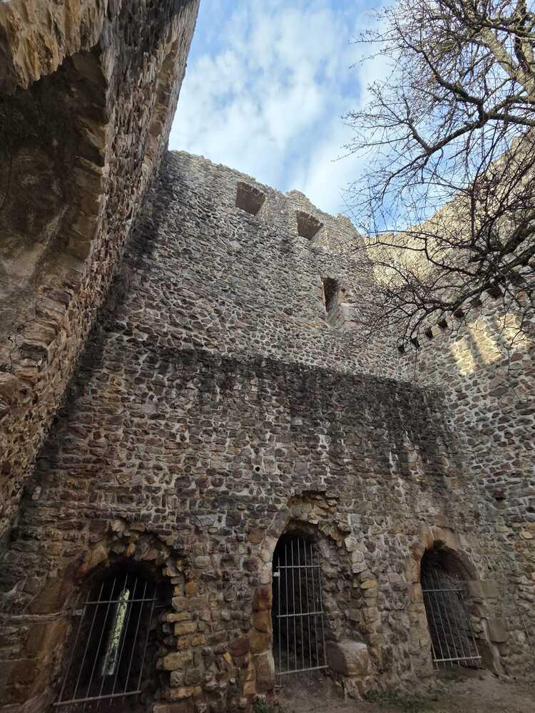 Whatsapp image 2026 03 08 at 17 13 18